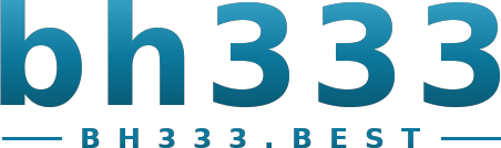bh333 logo